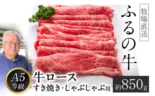 ふるの牛(黒毛和牛)ロースすき焼き・しゃぶしゃぶ用 850g A5 ミシュラン掲載《30日以内に出荷予定(土日祝除く)》福岡県鞍手町50000肉牛肉