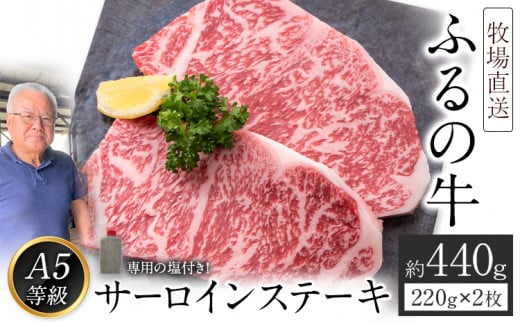 ふるの牛(黒毛和牛)特選サーロインステーキ 440g(220g×2枚) ゲランド塩付き A5 《30日以内に出荷予定(土日祝除く)》福岡県鞍手町30000肉牛肉