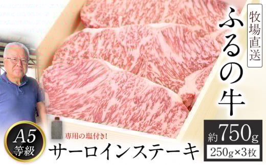 ふるの牛(黒毛和牛)特選サーロインステーキ 750g(250g×3枚) ゲランド塩付き A5《30日以内に出荷予定(土日祝除く)》福岡県鞍手町50000肉牛肉