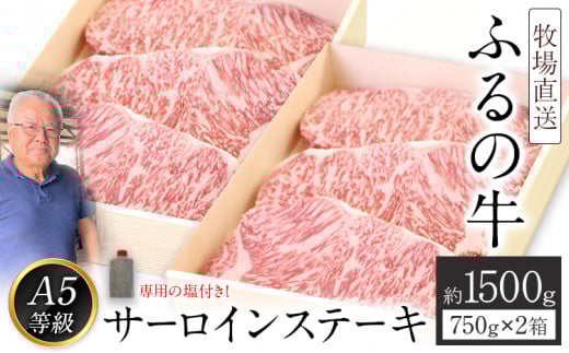 ふるの牛(黒毛和牛)特選サーロインステーキ 1500g 1箱(250g×3枚)×2箱 ゲランド塩付き A5《30日以内に出荷予定(土日祝除く)》福岡県鞍手町100000肉牛肉