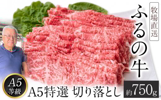 ふるの牛(黒毛和牛)A5特選 切り落とし 750g A5 ミシュラン掲載《30日以内に出荷予定(土日祝除く)》福岡県鞍手町21000肉牛肉