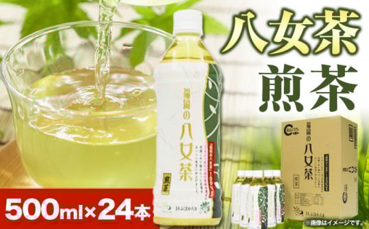 八女茶 煎茶ペットボトル 500ml×24本 株式会社親和園《30日以内に出荷予定(土日祝除く)》 お茶 緑茶 茶 八女茶 ペットボトル福岡県鞍手町13000お茶・飲料お茶