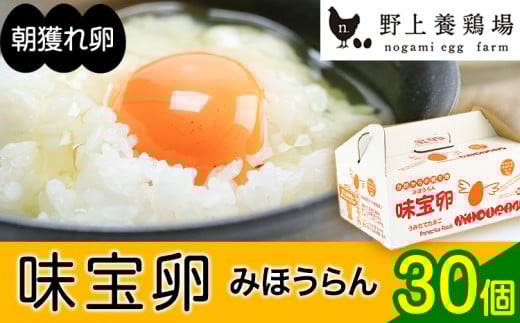 朝獲れ卵 味宝卵 (30個) 卵 Lサイズ 鶏卵《90日以内に出荷予定(土日祝除く)》福岡県鞍手町8000卵・乳製品卵(鶏、烏骨鶏等)