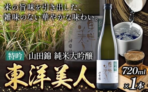 日本酒 新酒 東洋美人 特吟 山田錦 純米大吟醸 1本 720ml 福岡吟醸倶楽部株式会社《30日以内に出荷予定(土日祝除く)》福岡県 鞍手郡 鞍手町 酒 冷酒 福岡県鞍手町11500酒・アルコール日本酒