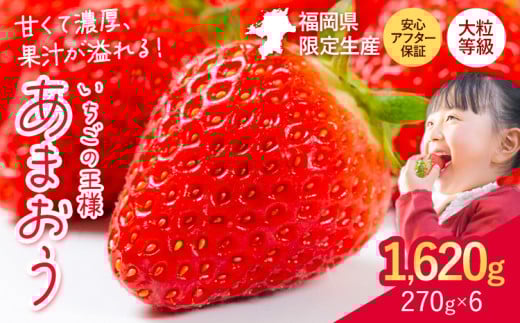 ★2026年出荷分★【先行予約】いちご あまおう 大容量産あまおう 1620g 【着日指定不可】《2月中旬-4月末頃出荷》 いちご福岡県鞍手町13000果物・フルーツいちご