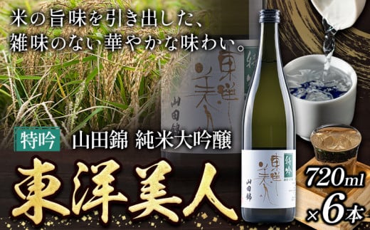 日本酒 新酒 東洋美人 特吟 山田錦 純米大吟醸 6本 計4320ml 1本あたり 720ml 福岡吟醸倶楽部株式会社《30日以内に出荷予定(土日祝除く)》福岡県 鞍手郡 鞍手町 酒 冷酒 福岡県鞍手町60000酒・ア