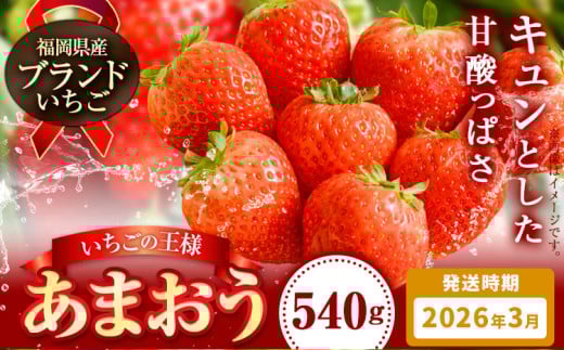 【先行予約】いちご あまおう 先行予約 いちご 大量 540g 選べる発送時期 定期便 フルーツ《2026年3月上旬-3月末頃出荷》苺 旬 くだもの 果物 福岡県 鞍手町福岡県鞍手町7000果物・フルーツい