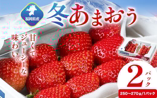 福岡県産 冬あまおう 2パック 南国フルーツ株式会社《12月上旬-1月末頃出荷》福岡県 鞍手町 あまおう いちご イチゴ 【配送不可地域あり】福岡県鞍手町13000果物・フルーツいちご