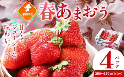 福岡県産 春あまおう 4パック 南国フルーツ株式会社《2月上旬-3月末頃出荷》福岡県 鞍手町 あまおう いちご イチゴ 【配送不可地域あり】福岡県鞍手町13000果物・フルーツいちご