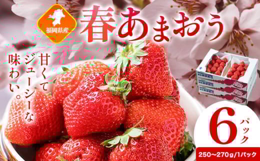 福岡県産 春あまおう 6パック 南国フルーツ株式会社《2月上旬-3月末頃出荷》福岡県 鞍手町 あまおう いちご イチゴ 【配送不可地域あり】福岡県鞍手町17000果物・フルーツいちご