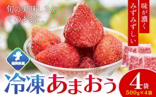【2026年度出荷】福岡県産 冷凍あまおう2kg(500g×4袋) 南国フルーツ株式会社《12月中旬-3月末頃出荷》福岡県 鞍手町 あまおう いちご イチゴ 【配送不可地域あり】福岡県鞍手町21500果物・フル