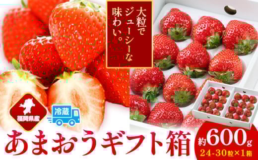 福岡県産 あまおう ギフト箱 約600g 南国フルーツ株式会社《12月上旬-3月末頃出荷》福岡県 鞍手町 あまおう いちご イチゴ 【配送不可地域あり】福岡県鞍手町17000果物・フルーツいちご