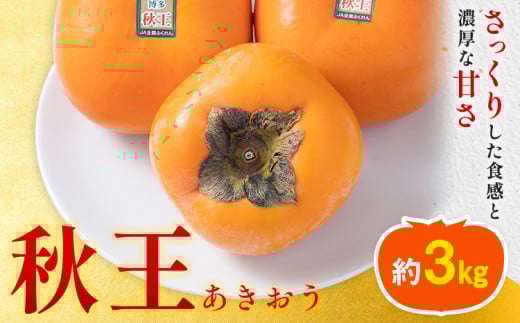 ` H 3kgi8-12ʁj 썑t[cЁs10{-11oׁt Ǝ蒬 Y ` t[c ʕƎ蒬30500ʕEt[c̑ ʕEt[c