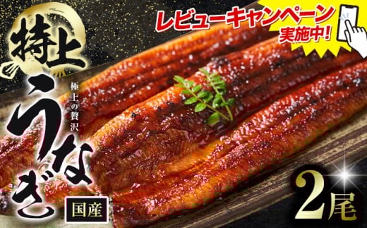 レビューキャンペーン実施中! うなぎ 鰻 特上 2尾 (1尾当たり180g以上) 福岡県産 鰻の蒲焼き 数量限定 株式会社HOMIE《45日以内に出荷予定(土日祝除く)》福岡県 鞍手郡 鞍手町 鰻 蒲焼き 数量