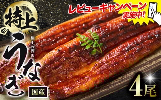 レビューキャンペーン実施中! うなぎ 鰻 特上 4尾 (1尾当たり180g以上) 福岡県産 鰻の蒲焼き 数量限定 株式会社HOMIE《45日以内に出荷予定(土日祝除く)》福岡県 鞍手郡 鞍手町 鰻 蒲焼き 数量