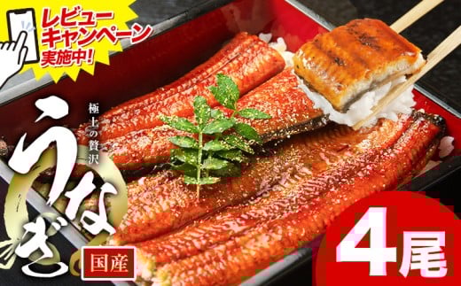 レビューキャンペーン実施中! うなぎ 鰻 ご家庭用  4尾 (サイズ不選別:1尾当たり140g-180g) 福岡県産 鰻の蒲焼き 数量限定 株式会社HOMIE《11月上旬-11月末頃出荷》福岡県 鞍手郡 鞍手町 鰻 蒲
