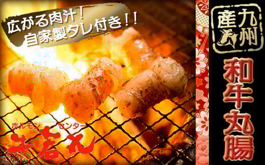 【国産】 丸腸 500g マル腸 牛 ホルモン 焼き肉 焼肉 BBQ おかず 晩ごはん 夕食 お肉 年末 年始 簡単 下処理 牛肉 ぎゅうにく gyuuniku niku bi-hu beff 肉 オニク年末 年始 春 夏 秋 冬 家族 イベント 牛