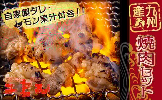 国産 焼き肉 セット 牛肉 タン お肉 ニク 肉 九州産 焼き肉 丸腸 手羽先 牛ホホ肉 上ホルモン 和牛 国産牛 肉 BBQ 夕食 おかず 惣菜 晩ごはん 焼肉セット ( 牛若丸 自家製 タレ付 ) 福岡福岡県川