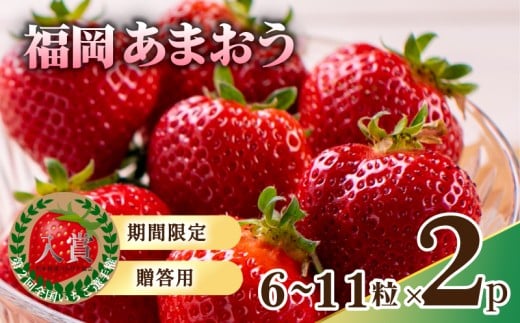 【2026年1月から発送予定】先行予約! 数量限定 福岡産 あまおう6粒〜11粒×2パック セット いちご 苺 イチゴ フルーツ 果物 くだもの 春 旬 福岡 九州 福岡県 川崎町福岡県川崎町11000果物・フ