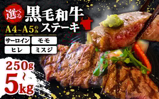 【A4〜A5】博多和牛サーロインステーキセット 500g(250g×2枚)福岡県川崎町17000肉牛肉