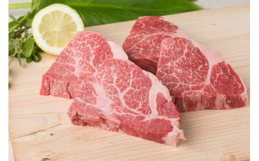 A4ランク 博多和牛 ヒレ肉 ステーキ 約100g×4枚 和牛 ブランド和牛 ブランド 国産 お肉 冷凍  福岡県 川崎町福岡県川崎町23000肉牛肉
