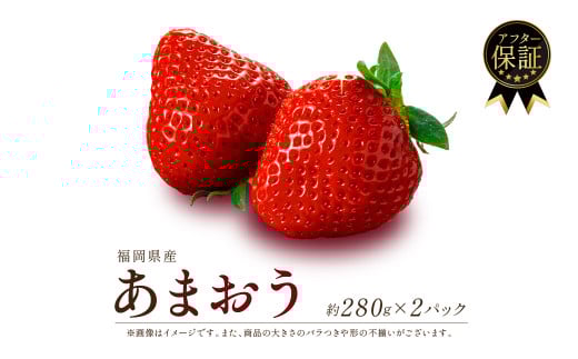 【2026年2月発送】福岡県産 あまおう 約280g×2P 約560g 冷蔵 小分け いちご 苺 イチゴ フルーツ 果物 スイーツ くだもの 冬 春 旬 福岡 九州 福岡県 川崎町 数量限定 期間限定 ONE GO福岡県川崎町550
