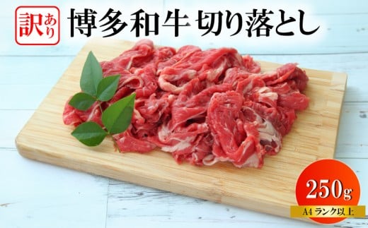 訳あり 黒毛和牛 切り落とし 250g 焼肉 和牛 牛肉 ブランド和牛 スライス 焼き肉 お肉 便利 長期保存 焼肉 惣菜 BBQ 夕食 福岡 川崎 人気 おすすめ ぎゅうにく ギュウニク gyuuniku 博多和牛おすす