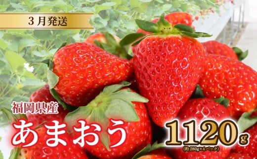 【2026年3月発送】 苺 あまおう 1120g (280g×4) いちご あまおう 福岡県産苺 いちご あまおう イチゴ 苺 あまおう 苺 数量限定 苺 いちご あまおう 福岡県産 苺 いちご あまおう【3月上旬より順次