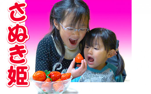 쌧̃IWii/ʂP4pbN쌧FÒ15000ʕEt[c