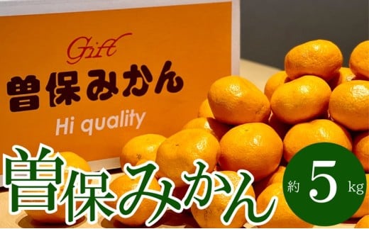 最高峰!三豊市の「曽保みかん」約5kg香川県宇多津町15000果物・フルーツみかん・柑橘類