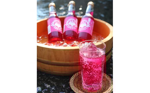 ԂTC_[@@250ml@×12{y1004051z{؎s12000Ȇ E