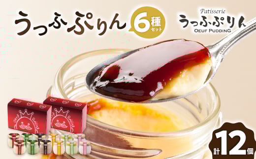 うっふぷりん6種セット 12個入【1259527】大阪府茨木市15000菓子・スイーツプリン・ゼリー