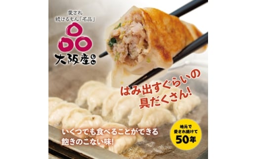 <大阪産(もん)名品>雁飯店の生餃子(冷凍)96個餃子(たれなし)【1369738】大阪府茨木市10000鍋セット・総菜・加工食品総菜