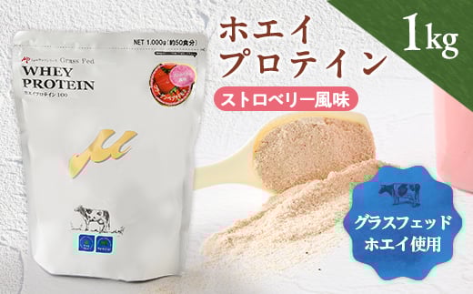 プロテイン100 ワイルドフィット ストロベリー風味【1582770】大阪府茨木市12000鍋セット・総菜・加工食品その他 鍋セット・総菜・加工食品