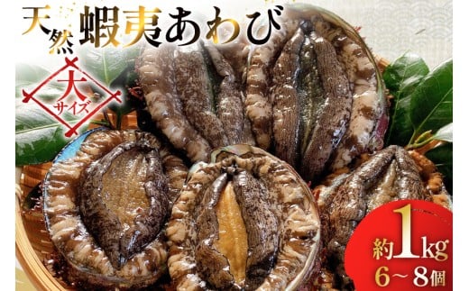 Ar  VR ڈ΂ pbN 1kg [݂̊CpbN {錧 O m304amh560080] Ⓚ Zbg   CN{錧O53000ECYL