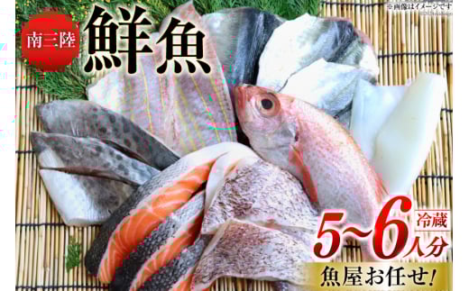 N lߍ킹 CIOyݑN Zbg 5`6l [Ȃ݂̂ {錧 O 30aj0002]  ^R y ق z^e h ώ ؂g{錧O34500ECYN