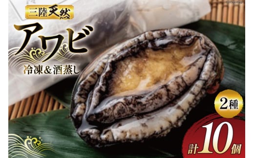 CN  O VR  Ar i  Ar e5 v10 [}ܗmY {錧 O 30al0005]   ڈ΂ L  Ⓚ hg hg  Xe[L{錧