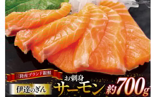 T[ { OY uɒB̂v  uhgT[v 700g [X {錧 O 30ab0002]  hg hg  CN  CN   {B{錧O17000