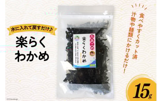 킩  y炭킩 15g [O񂳂}VF {錧 O m304amh600098] J C  Y O Jbg Jbg킩 JbgJ{錧O3000ECŶEC