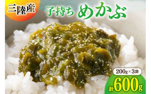 C ƂƂ ߂ 3{ Zbg [O񂳂}VF {錧 O m304amh600084] Ⓚ Y Ju{錧O11500ECŶEC