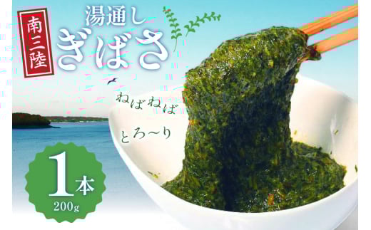 C  ʂ ΂ 1{ [O񂳂}VF {錧 O m304amh600083] Ⓚ Y AJN{錧O6500ECŶEC