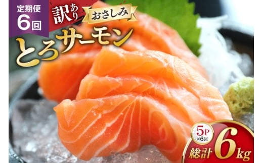  󂠂 ƂT[ hg 5pbNv1kg×6 v6kg  6  [݂̊CpbN {錧 O m304amh560078] T[   CN  H   gEg n~ g