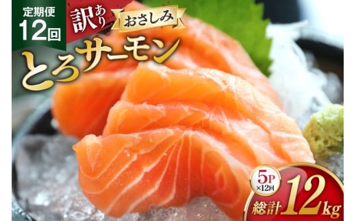  󂠂 ƂT[ hg 5pbNv1kg×12 v12kg  12  [݂̊CpbN {錧 O m304amh560077] T[   CN  H   gEg n~ g