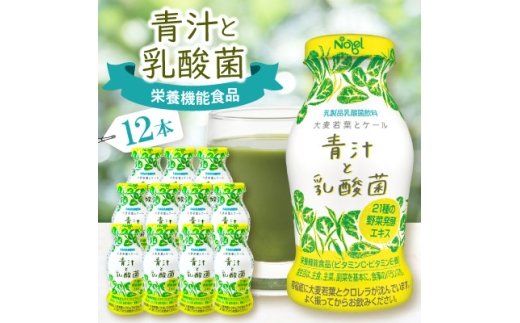 <毎週定期便>青汁と乳酸菌 12本セット全3回【4075210】岐阜県笠松町19000お茶・飲料その他 お茶・飲料