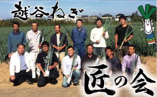 越谷ねぎ(白ねぎ5kg) / ネギ 葱 白ネギ 白葱 野菜 甘み 辛み 埼玉県 No.029埼玉県越谷市20000野菜・きのこ玉ねぎ・ねぎ