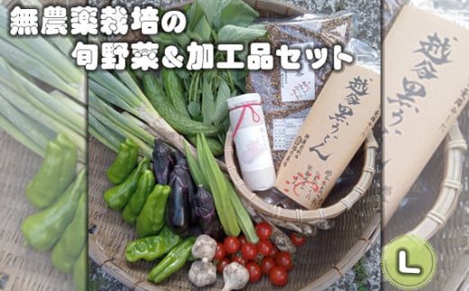 無農薬栽培の旬野菜&加工品セット L / 野菜 やさい 旬 新鮮 採れたて 産地直送 直送 お取り寄せ 安全 安心 地元 オーガニック野菜 季節野菜 旬野菜 詰合せ 循環農業 埼玉県 No.056埼玉県越