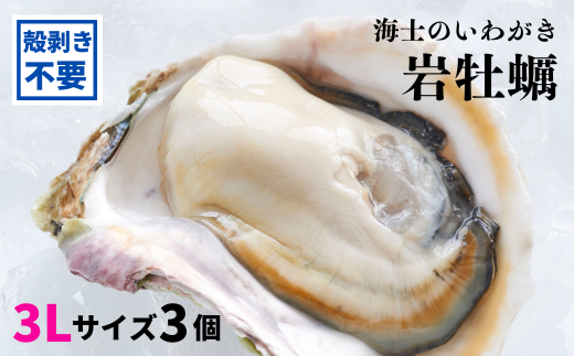 【殻剥き不要】海士のいわがき 殻なし巨大3Lサイズ×3個(960g〜1.2kg)御歳暮 ギフト 12月24日までのご注文で年内発送島根県海士町25000魚介・海産物貝類