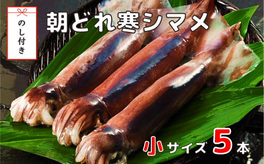 ŷtzǂꊦV}TCYZbgi160-200×5jXCJ  G  CJ X hg CJĂCm15000ECYCJE^REEj