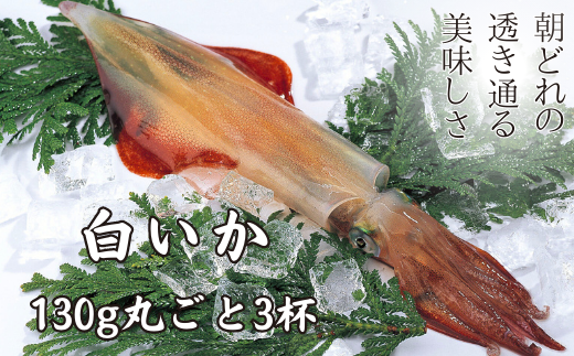 【高級白いか丸ごと 130g×3杯セット】ぷりぷり甘い高級白いかを朝どれ鮮度でお送りします! いか イカ 白いか ケンサキイカ 刺身 年末年始 お正月 御歳暮 ギフト 12月24日までのご注文で年内