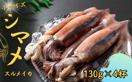 【朝どれシマメ 小サイズ丸ごと4杯セット】130g×4杯  いか イカ スルメイカ 朝どれシマメ島根県海士町11000魚介・海産物イカ・タコ・ウニ